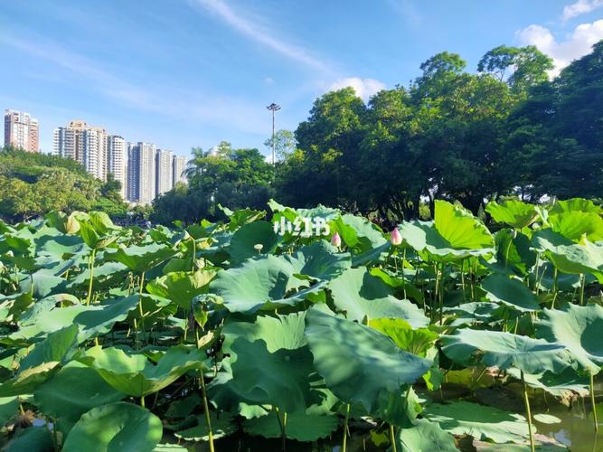 我的天