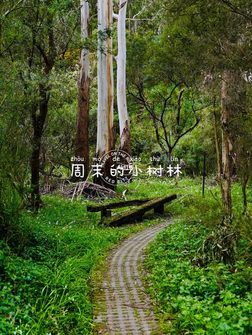 霍巴特印象集市