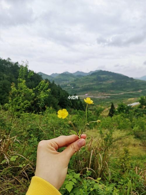 不错的电影《心迷宫》《独自等待》