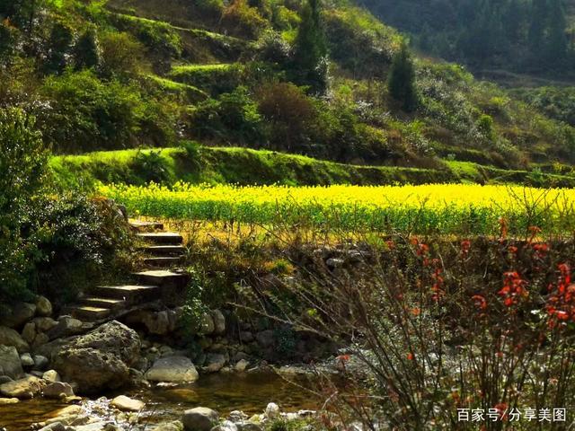 阿根廷共享单车Ecobici