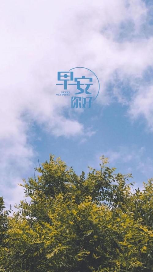 关于笨和聪明的一些思考